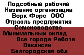 Подсобный рабочий › Название организации ­ Ворк Форс, ООО › Отрасль предприятия ­ Семеноводство › Минимальный оклад ­ 30 000 - Все города Работа » Вакансии   . Белгородская обл.